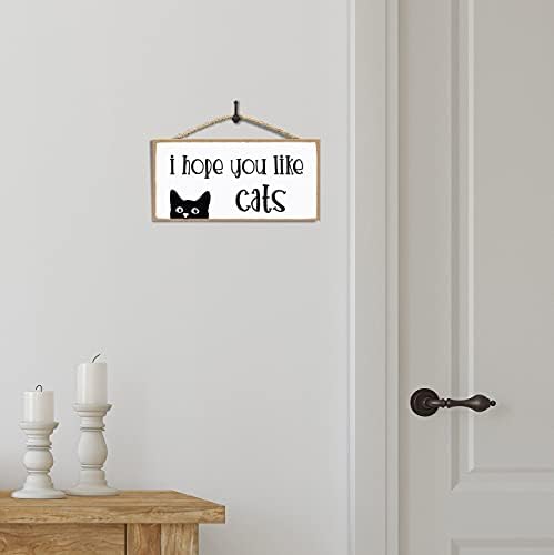 עיצוב קיר של שרה ג'וי של שרה ג'וי - תפאורה לחדר חתולים - אני מקווה שאתה אוהב חתולים - עיצוב בית חתול